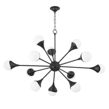 Load image into Gallery viewer, Mitzi H375812-SBK 12 Light Chandelier Soft Black - 